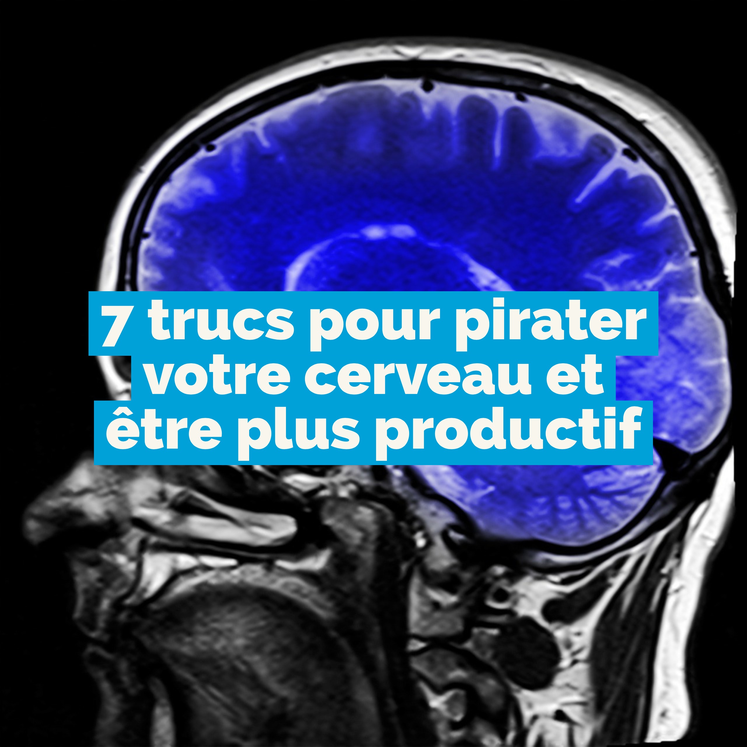 Trucs Pour Pirater Votre Cerveau Et Tre Plus Productif Cultivons L