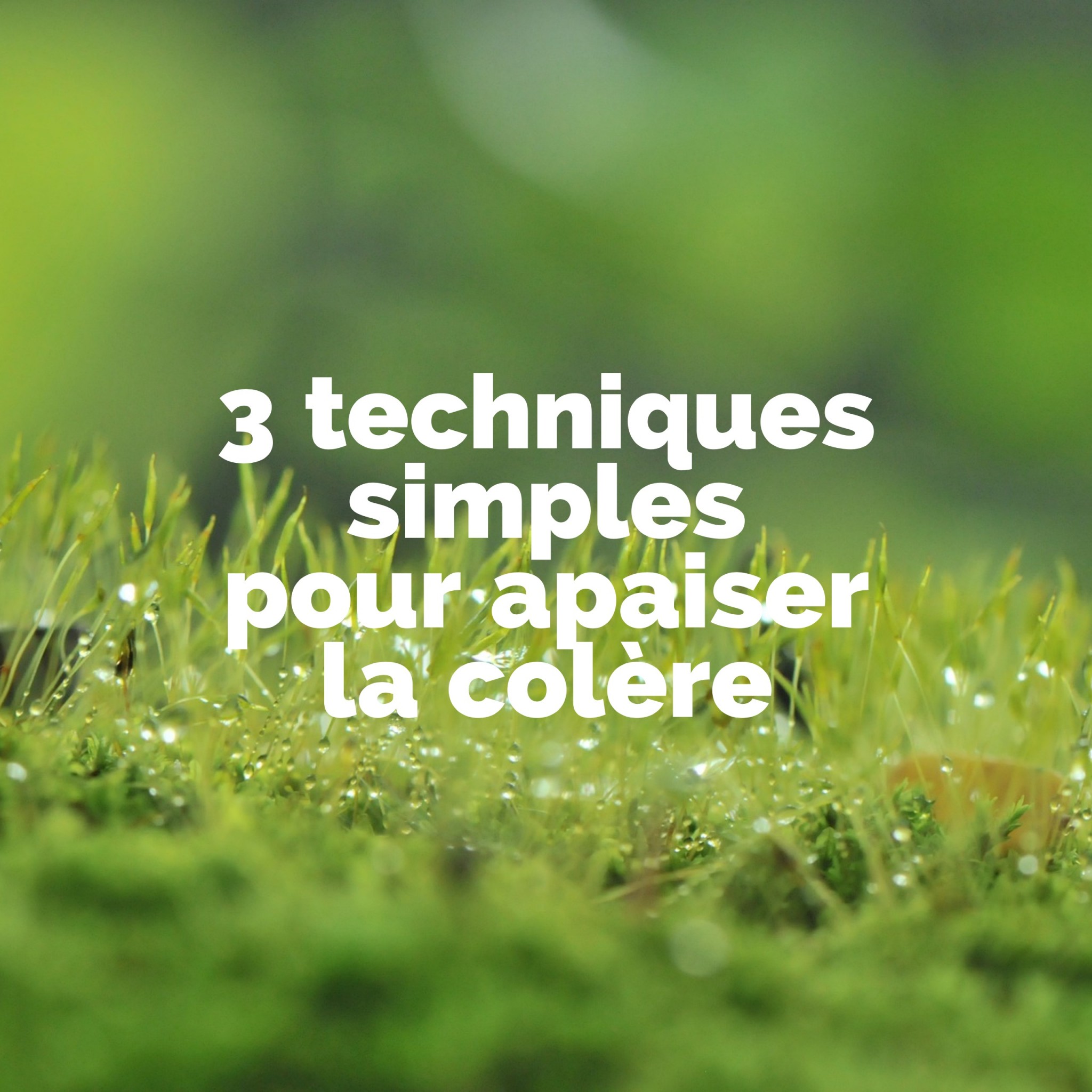 Techniques Simples Pour Apaiser La Col Re Cultivons L Optimisme