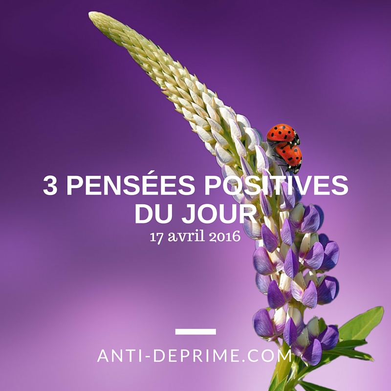 3 pensées positives du jour 17 avril 2016