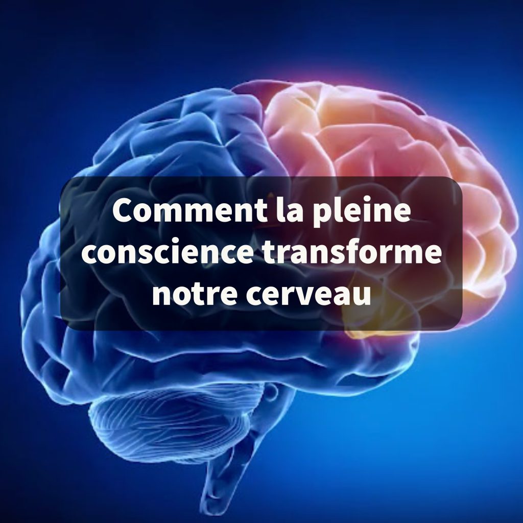 Comment La Pleine Conscience Transforme Notre Cerveau