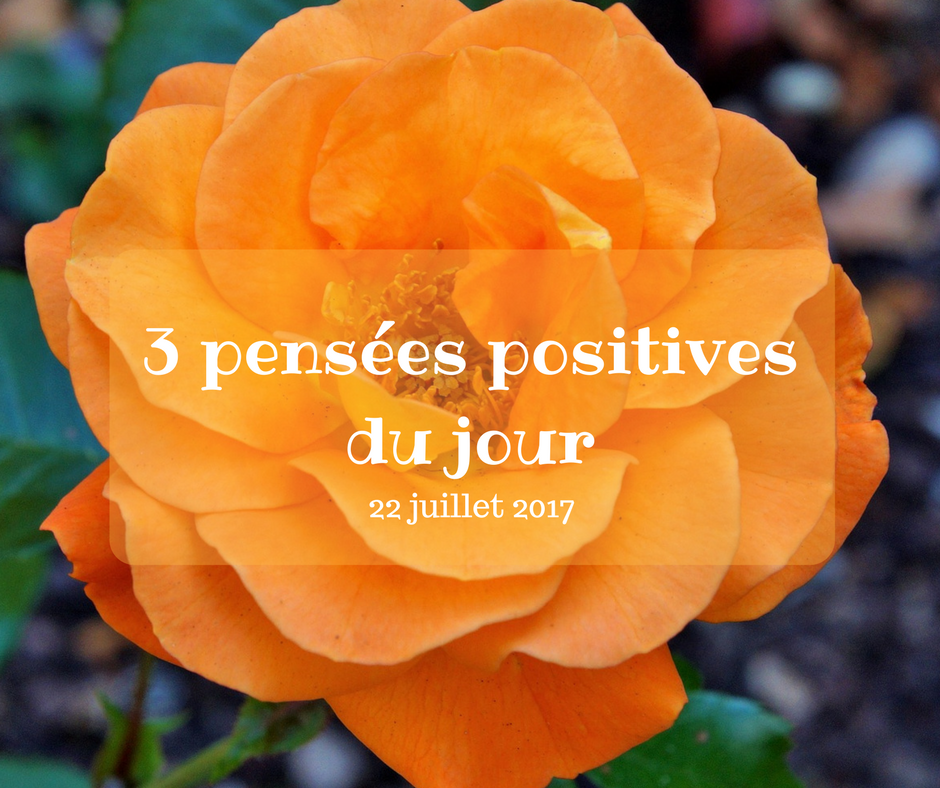 3 pensées positives du jour 22 juillet 2017 Cultivons l optimisme