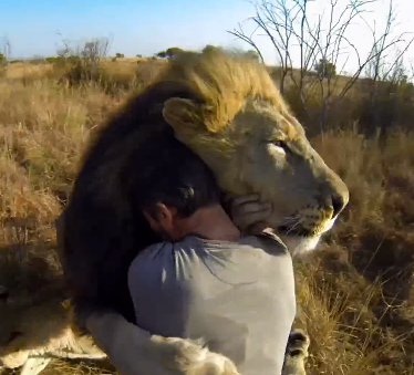 Kevin Richardson et lion hug