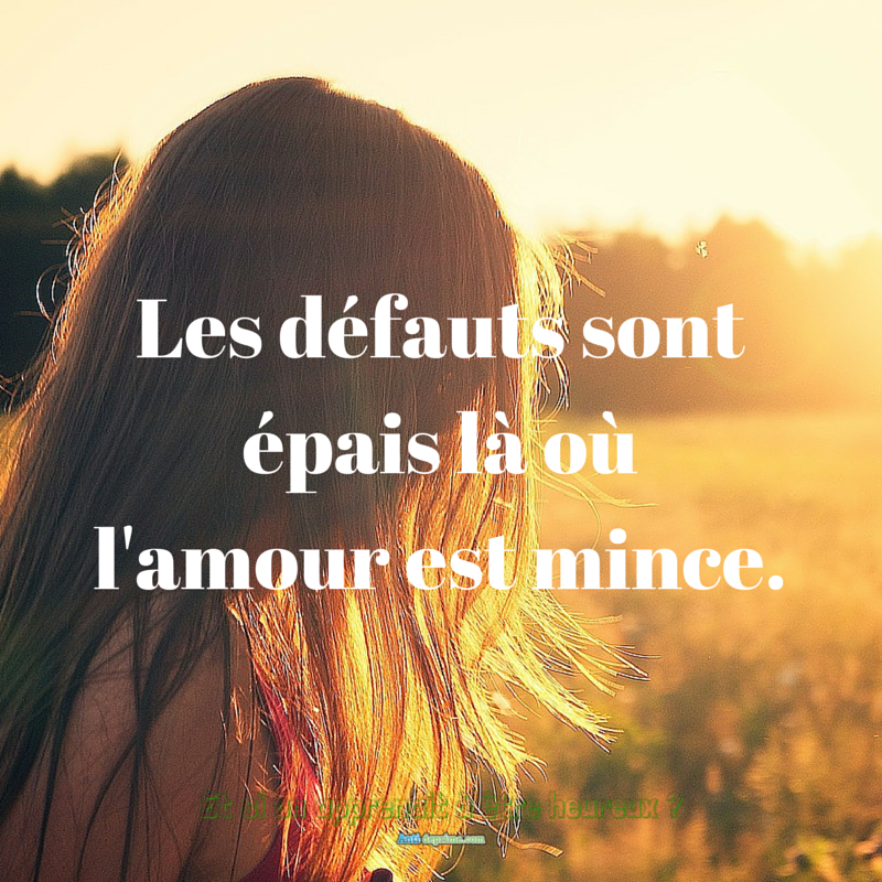 Les Defauts Sont Epais La Ou L Amour Est Mince Cultivons L Optimisme