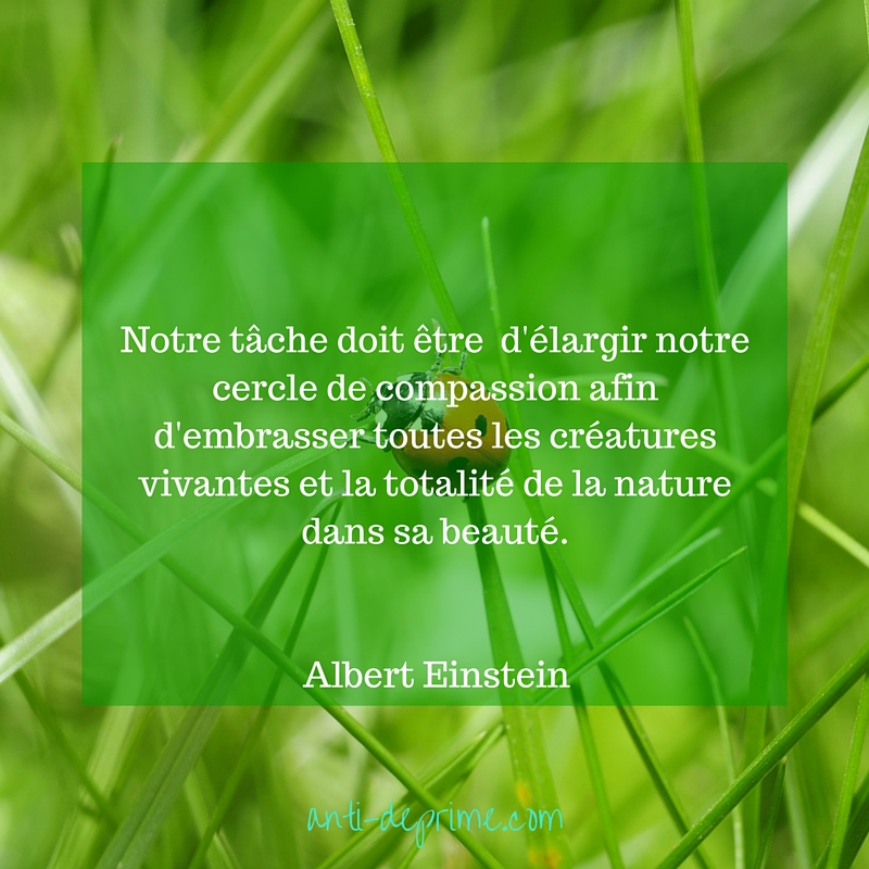 Albert Einstein A Propos De La Compassion Cultivons L Optimisme