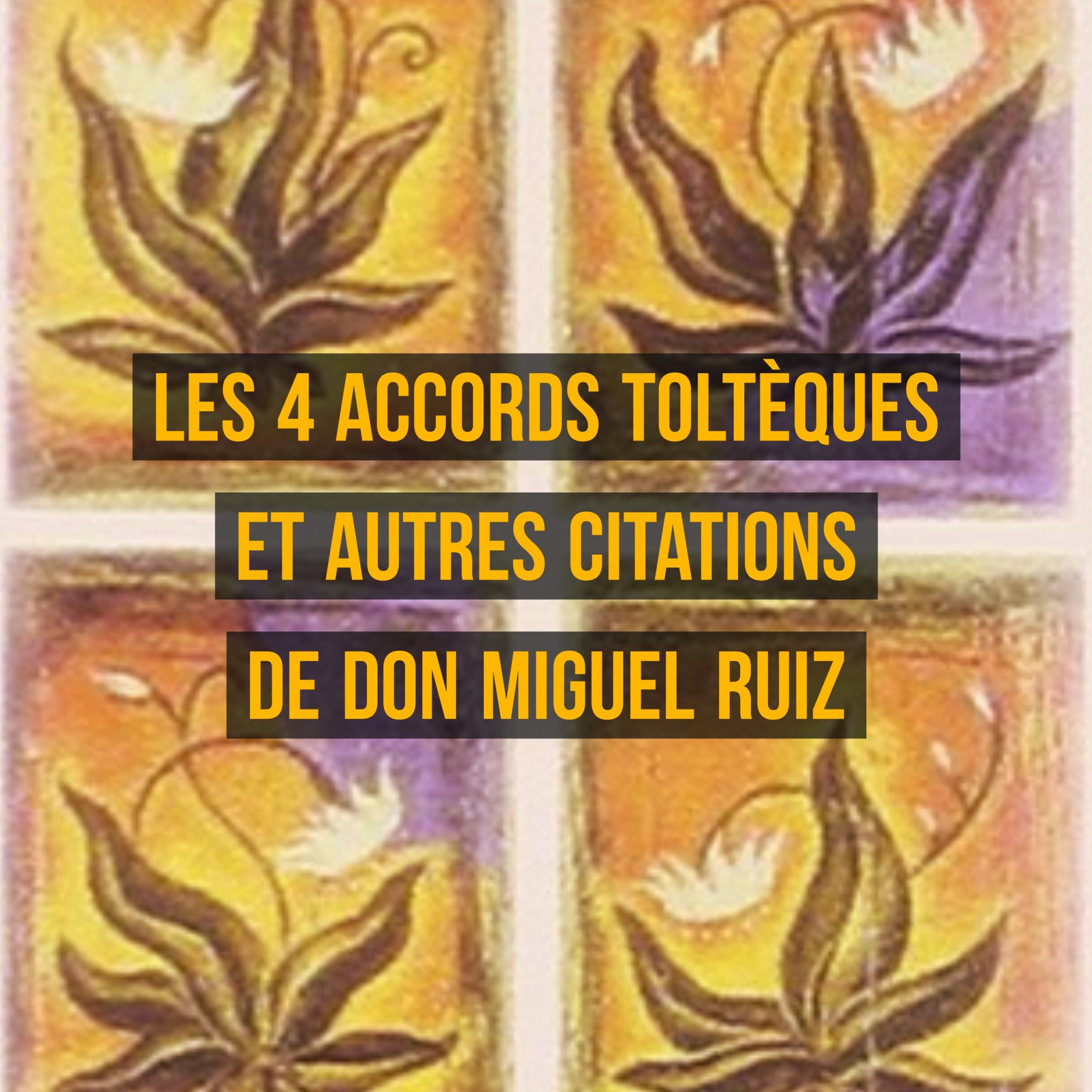 Les 4 Accords Tolteques Et Autres Citations De Don Miguel Ruiz Cultivons L Optimisme