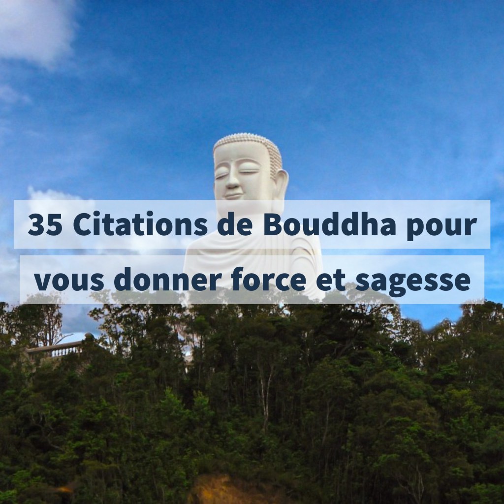 35 Citations De Bouddha Pour Vous Donner Force Et Sagesse Cultivons L Optimisme