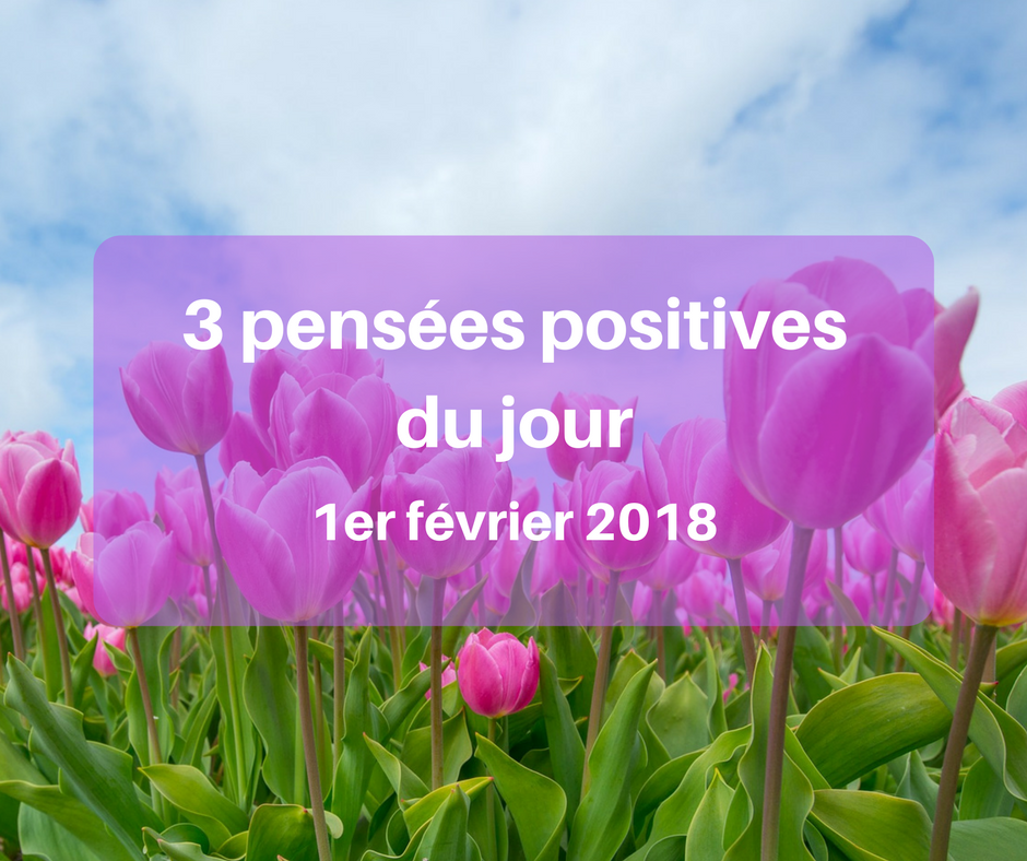 3 Pensees Positives Du Jour 1er Fevrier 18 Cultivons L Optimisme