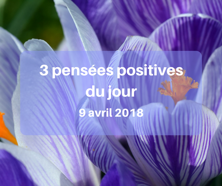 3 Pensees Positives Du Jour 9 Avril 18 Cultivons L Optimisme